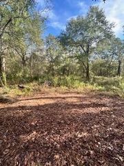 480 County Road 3188, Cleveland, TX 77327