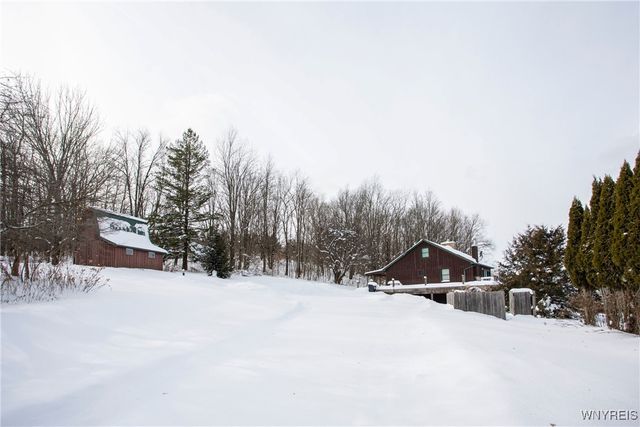 8397 Rohr Hill Road, East Otto, NY 14729