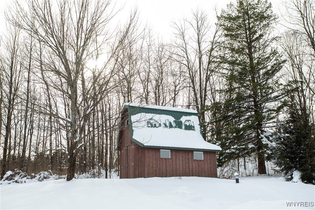 8397 Rohr Hill Road, East Otto, NY 14729