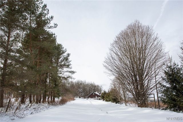 8397 Rohr Hill Road, East Otto, NY 14729