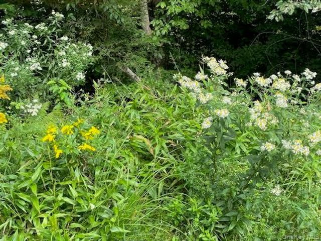 155 & 147 Sherman Road, Ellenville, NY 12428