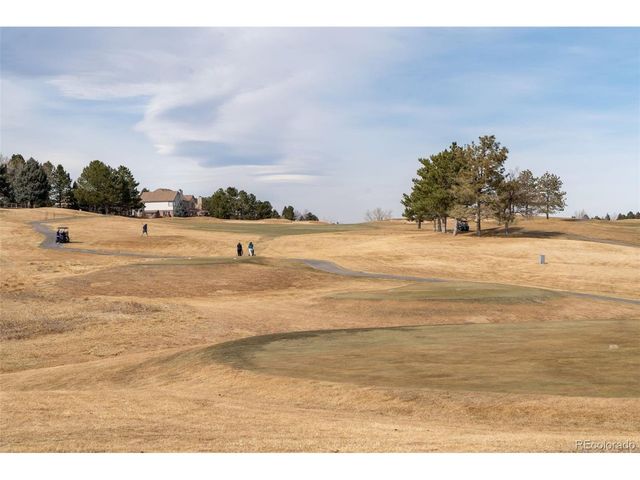 9838 Cypress Point Cir, Lone Tree, CO 80124