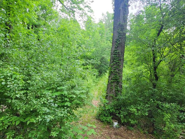 1614 Sugar Island ROAD, Summit, WI 53066