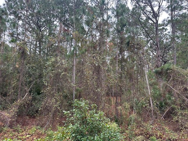 SETTLERS LOOP, Geneva, FL 32732