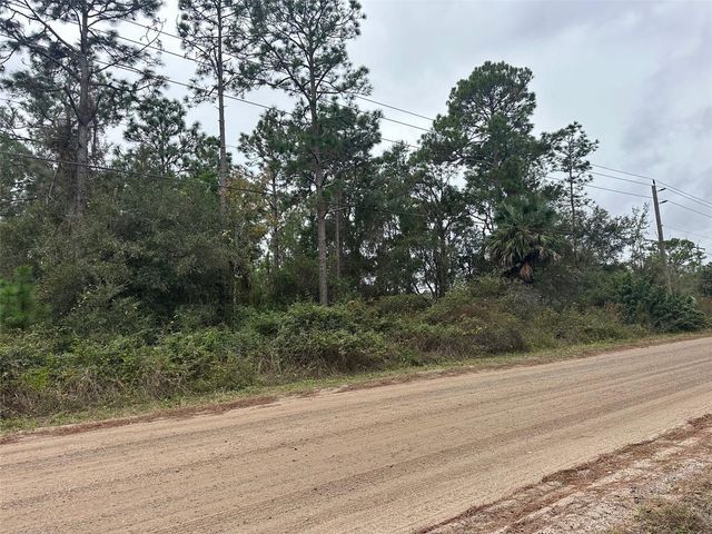 SETTLERS LOOP, Geneva, FL 32732