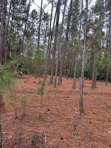 SETTLERS LOOP, Geneva, FL 32732