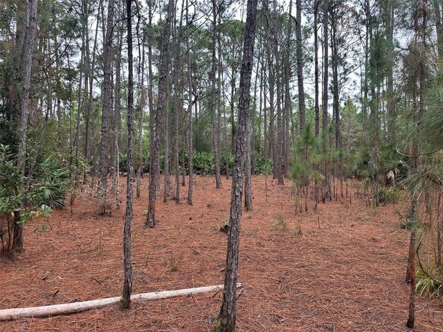 SETTLERS LOOP, Geneva, FL 32732