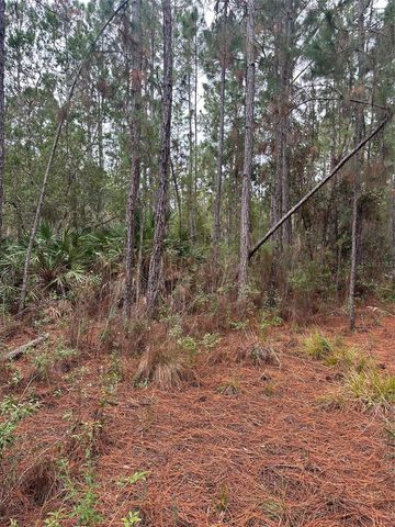 SETTLERS LOOP, Geneva, FL 32732