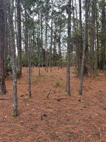 SETTLERS LOOP, Geneva, FL 32732