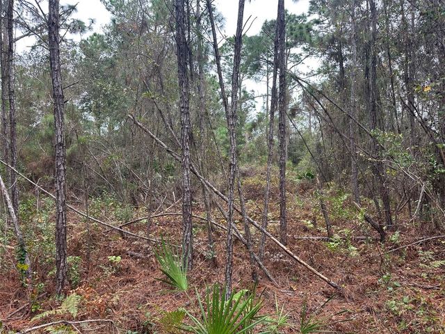 SETTLERS LOOP, Geneva, FL 32732