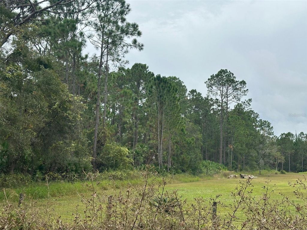 SETTLERS LOOP, Geneva, FL 32732