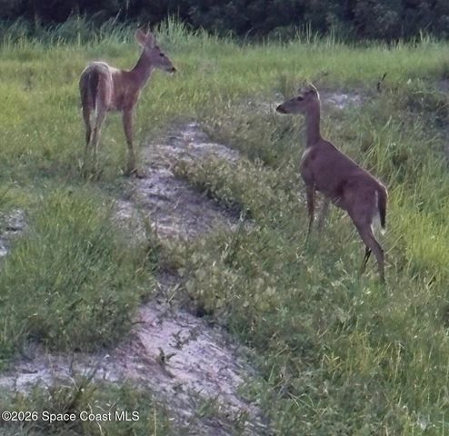 581 Ganley Street SW, Palm Bay, FL 32908