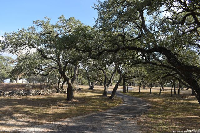 32010 OAK RIDGE PKWY, Bulverde, TX 78163