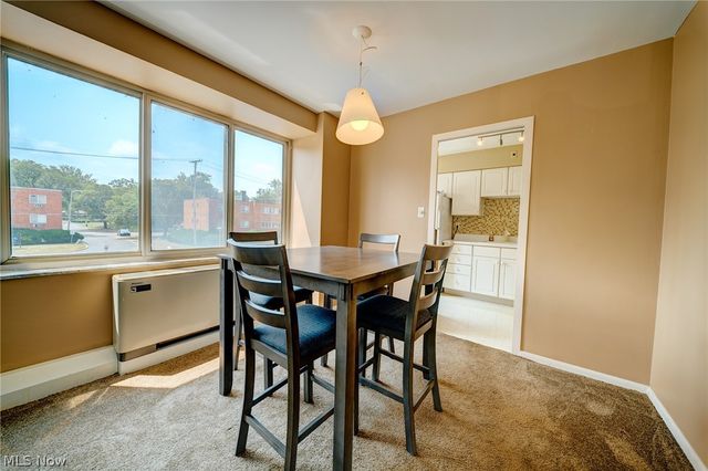 12520 Edgewater Drive 210, Lakewood, OH 44107