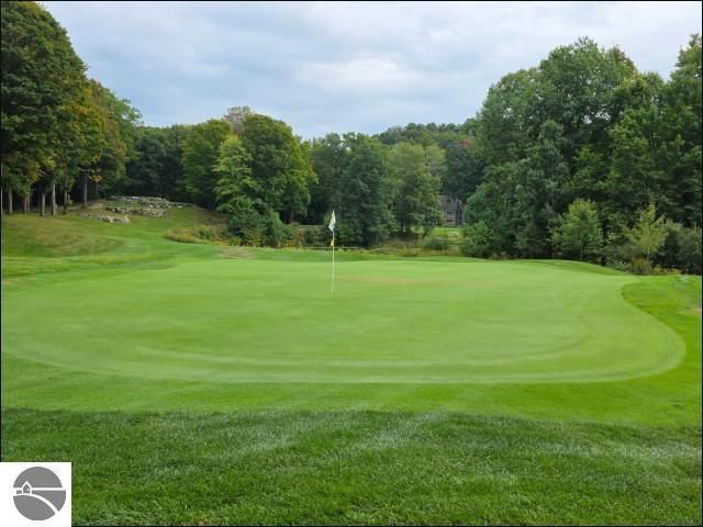 4492 Forest Trail, Bellaire, MI 49615