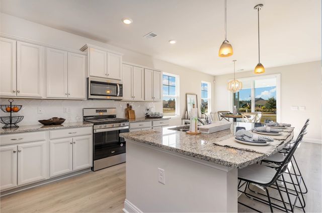 309 Hadley Springs Ave, Longs, SC 29568