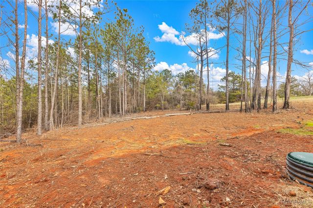 1796 Jones Corner Road, Titus, AL 36080