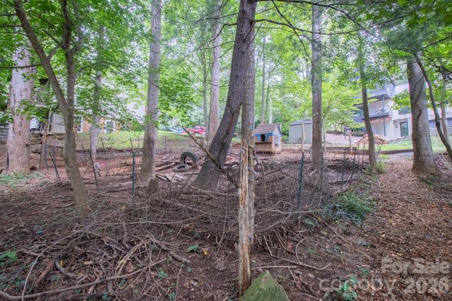 99999 Rumbough Place, Asheville, NC 28806