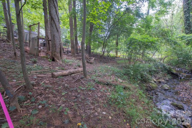 99999 Rumbough Place, Asheville, NC 28806