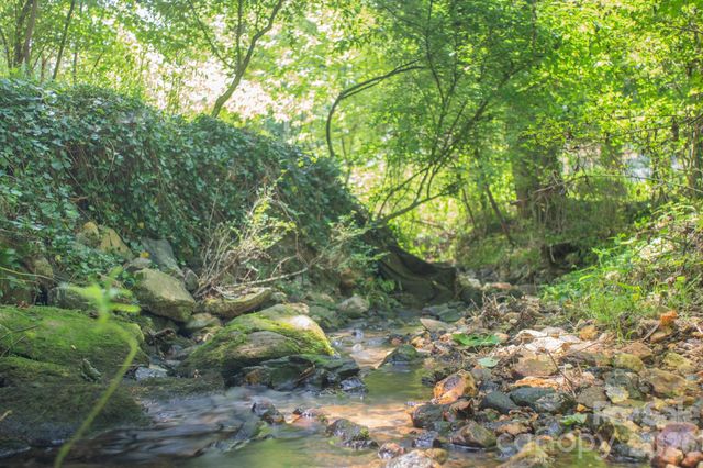 99999 Rumbough Place, Asheville, NC 28806