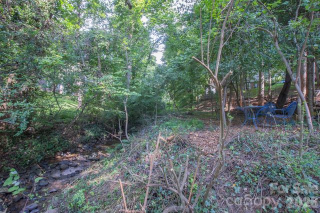 99999 Rumbough Place, Asheville, NC 28806