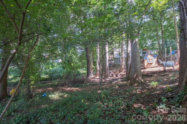 99999 Rumbough Place, Asheville, NC 28806