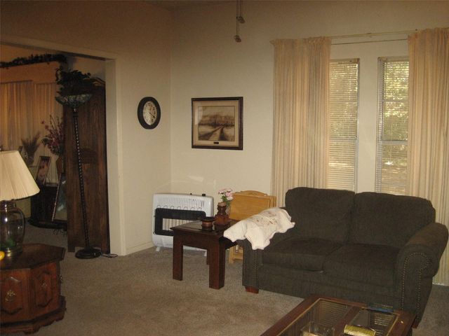 211 S Olive Street, Grapeland, TX 75844