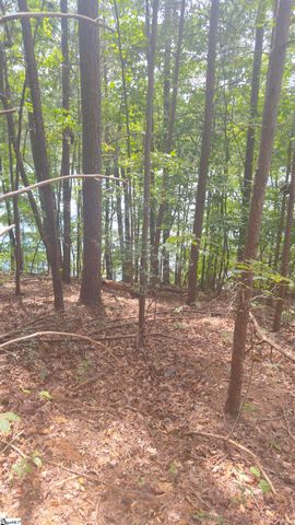 162 Stoneridge Drive, Chesnee, SC 29323
