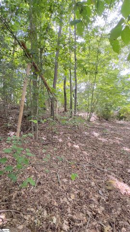 162 Stoneridge Drive, Chesnee, SC 29323