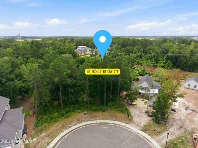 113 Holly Berry Court, Wilmington, NC 28401