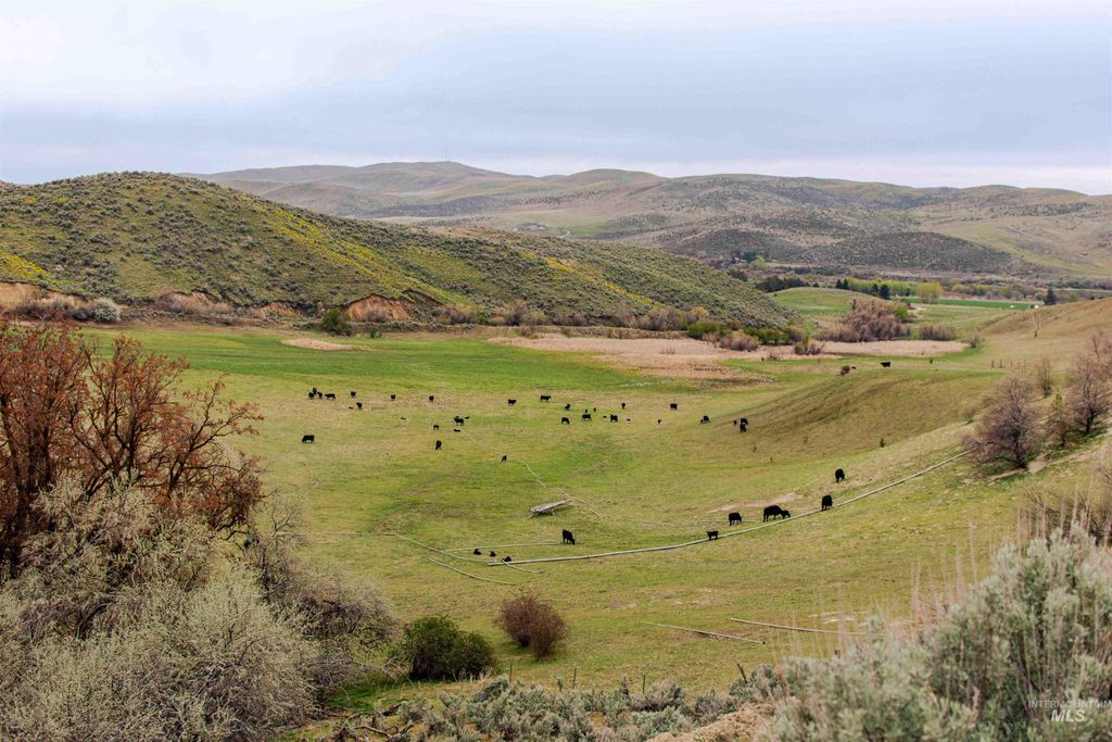 1836 Cemetery Rd, Weiser, ID 83672
