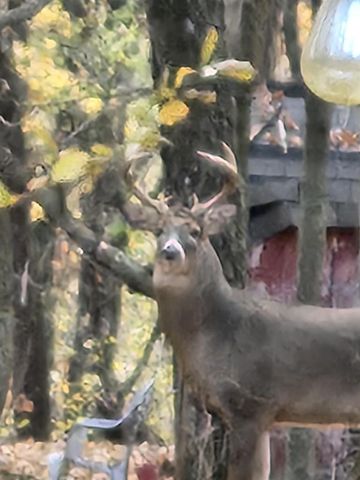 9354 COUNTY ROAD KK, Amherst Jct, WI 54407