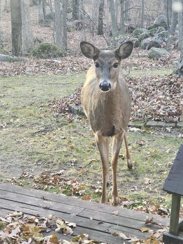 9354 COUNTY ROAD KK, Amherst Jct, WI 54407