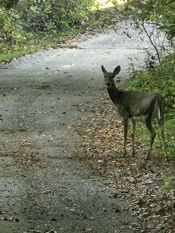 9354 COUNTY ROAD KK, Amherst Jct, WI 54407