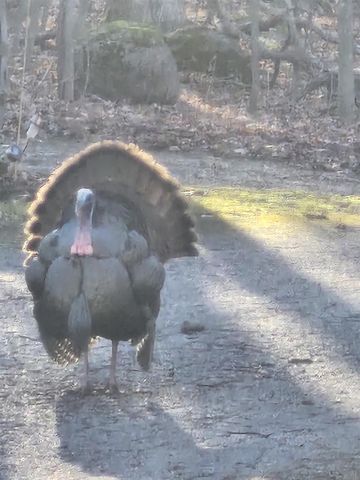 9354 COUNTY ROAD KK, Amherst Jct, WI 54407