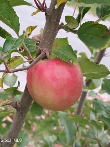 15 Maywood Drive, Glenville, NY 12302