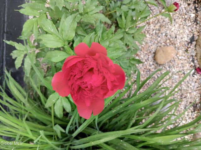 15 Maywood Drive, Glenville, NY 12302