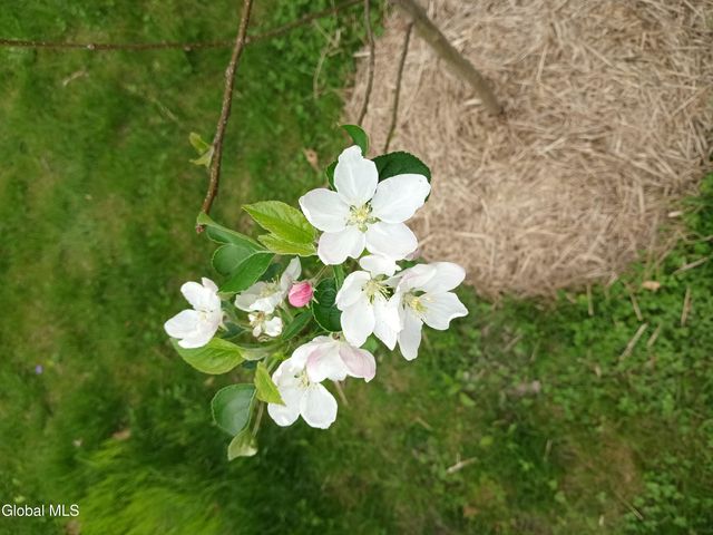 15 Maywood Drive, Glenville, NY 12302