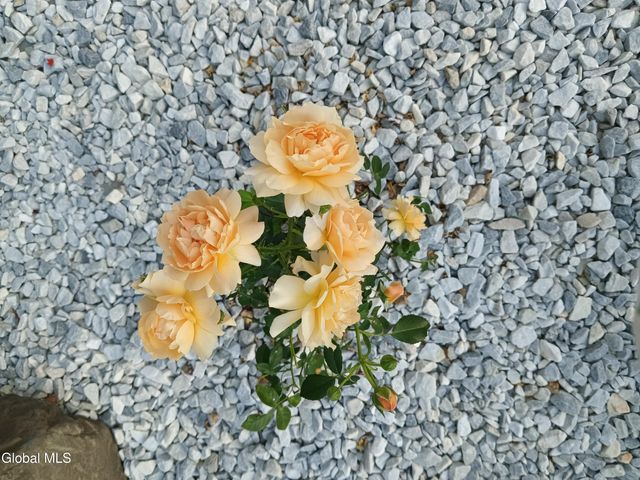 15 Maywood Drive, Glenville, NY 12302