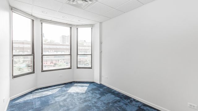 1508 E 53rd Street 210, Chicago, IL 60615