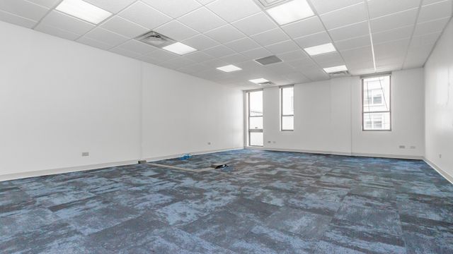 1508 E 53rd Street 210, Chicago, IL 60615