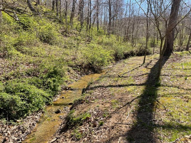 7581 McWhorter Road, London, KY 40741