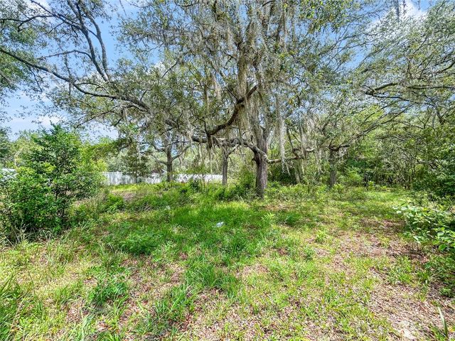 23162 SW NEPTUNE BOULEVARD, Dunnellon, FL 34431