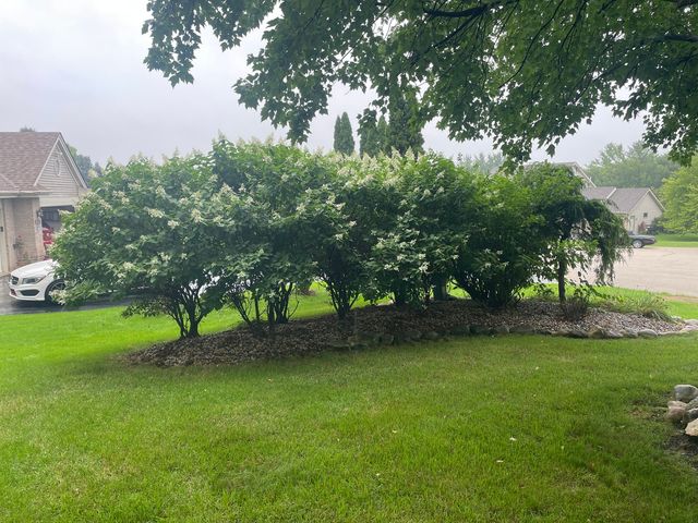 2137 Saint James Avenue, Belvidere, IL 61008