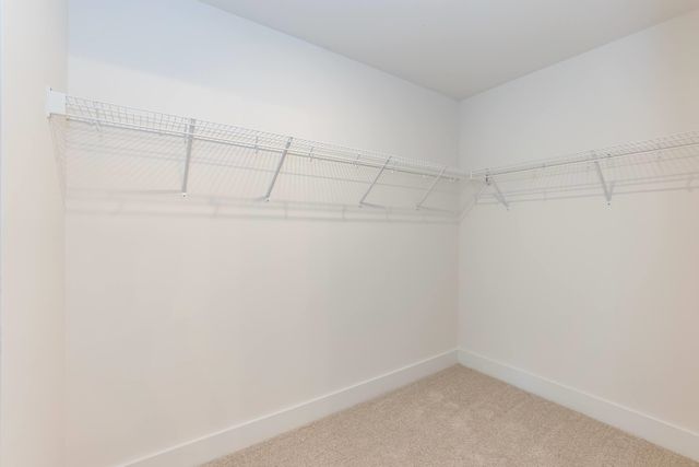 441 Whitetail Way, Tabor City, NC 28463