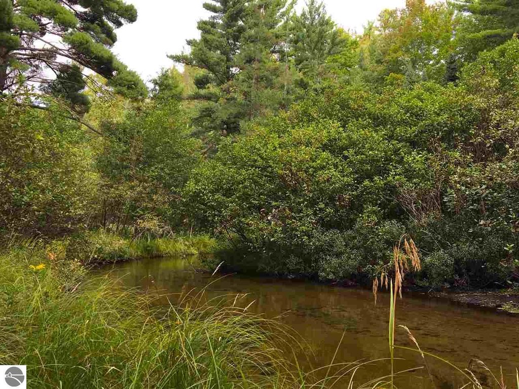 Image 10 of property listing at 9769 Parrot Circle, Fife Lake, MI 49633