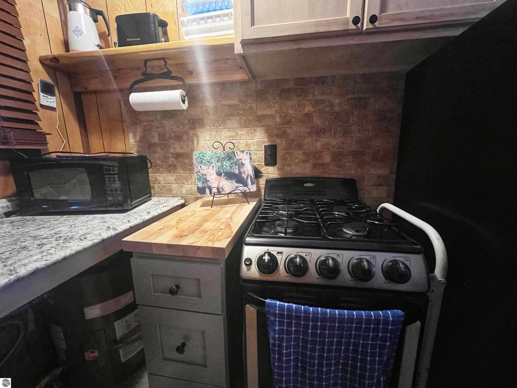 Image 18 of property listing at 9769 Parrot Circle, Fife Lake, MI 49633