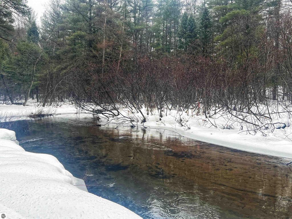 Image 2 of property listing at 9769 Parrot Circle, Fife Lake, MI 49633