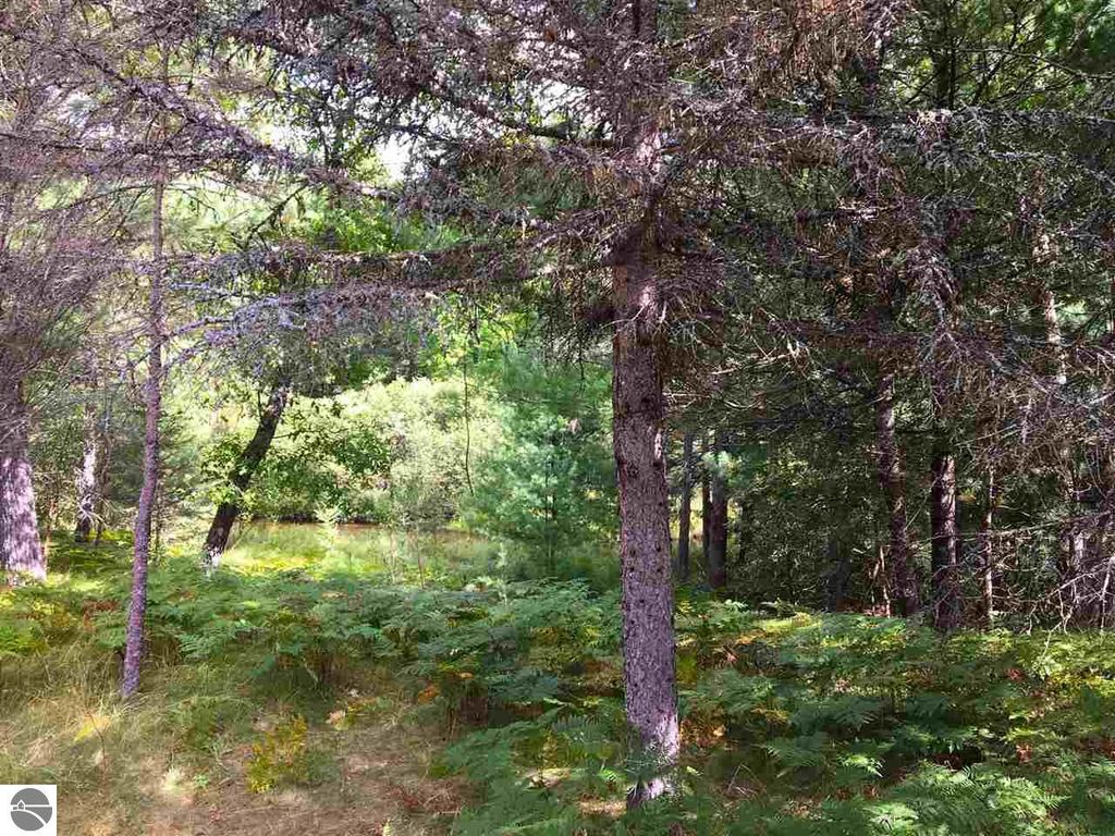 Image 25 of property listing at 9769 Parrot Circle, Fife Lake, MI 49633