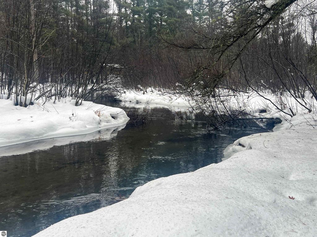 Image 3 of property listing at 9769 Parrot Circle, Fife Lake, MI 49633